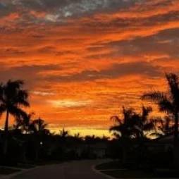 All near fiddler's creek