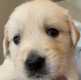 About Denise Philby 2