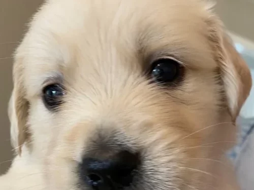 About Denise Philby 2